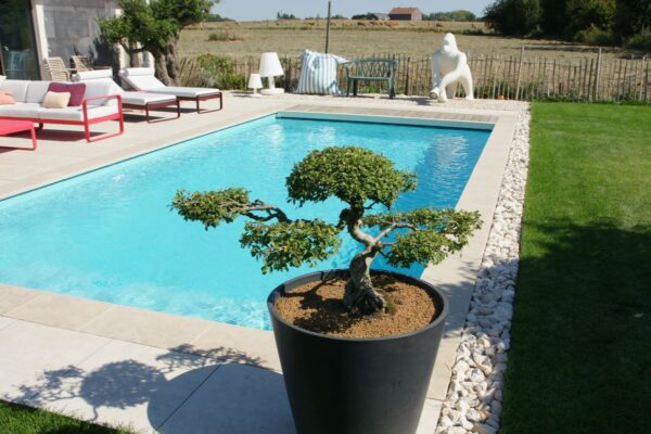 piscine-eau-turquoise-margelle-dallage-bois-wallonie